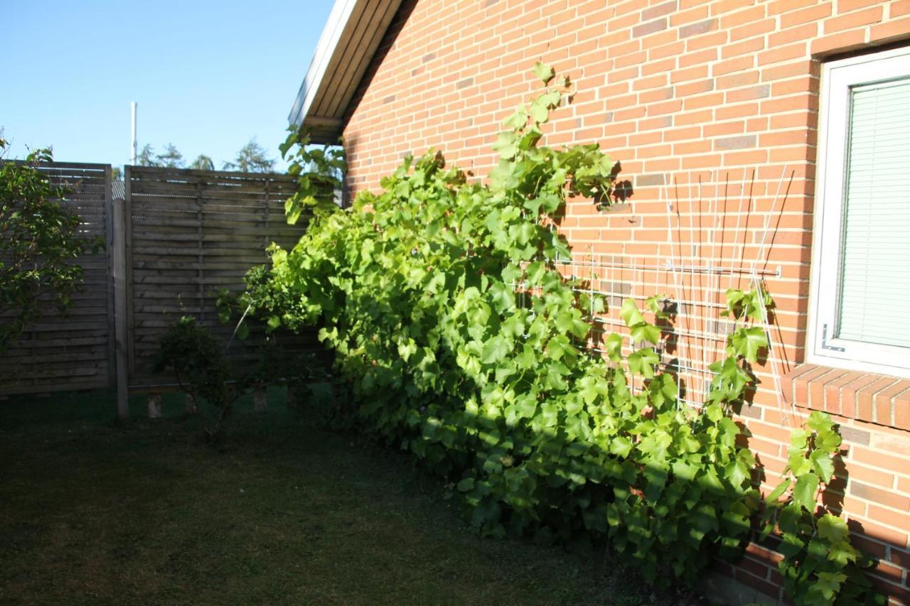 Hine Bakke Bed And Breakfast Rudkøbing Extérieur photo